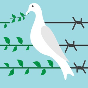 war and peace (dove)