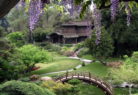 Huntington Garden (Japanese Garden)